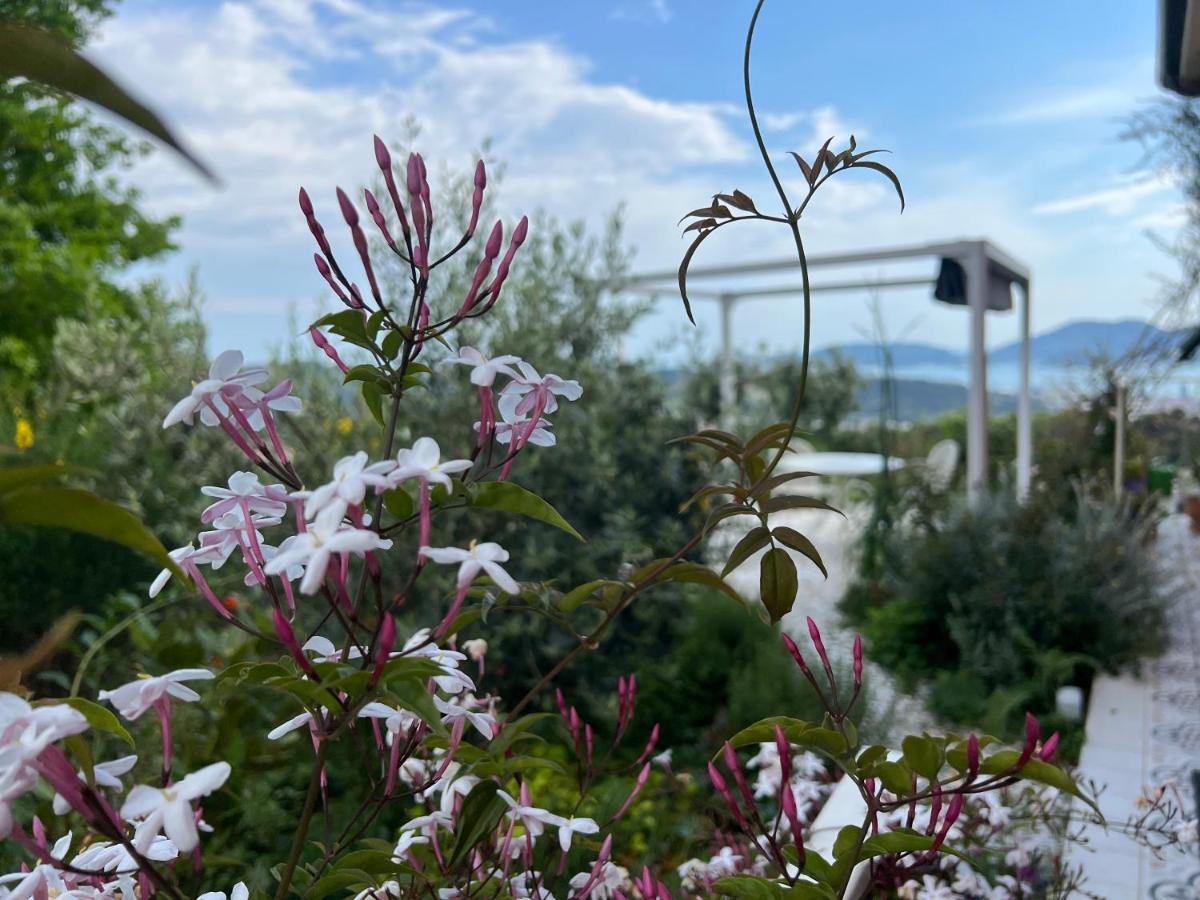 Guest house Hortensia By Le Rose *